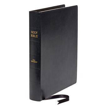 HAMMONS, DAVID. The Holy Bible: Old Testament.